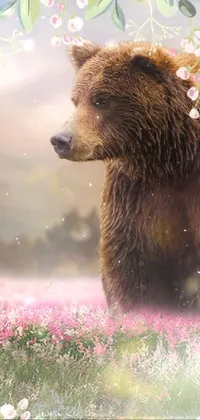bear with flowers  Live Wallpaper