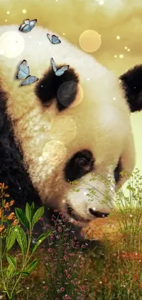 panda wallpaper android