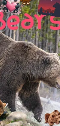 Bear entry Live Wallpaper
