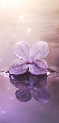 purple Live Wallpaper