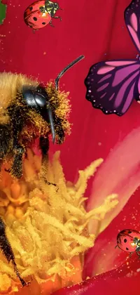 Bugs ans flower Live Wallpaper