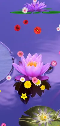water lily Live Wallpaper
