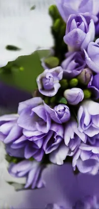 flower Live Wallpaper