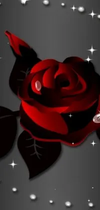 Flower Light Petal Live Wallpaper