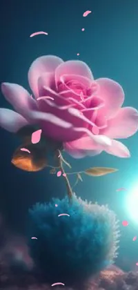 Flower Water Cloud Live Wallpaper