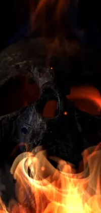 Bonfire Fire Flame Live Wallpaper