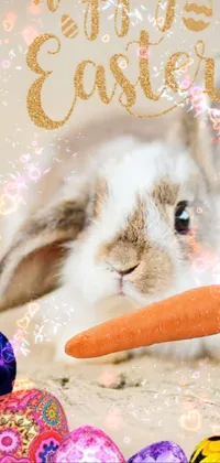 Vertebrate Small Animal Food Tableware Live Wallpaper