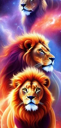 Photograph Light Lion Live Wallpaper - free download