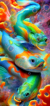 Mandarin Fish  Live Wallpaper