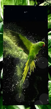 nature Live Wallpaper