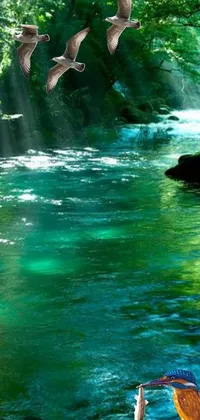 peaceful river Live Wallpaper