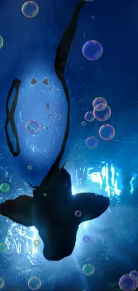 under the sea  Live Wallpaper