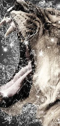 ice bear Live Wallpaper
