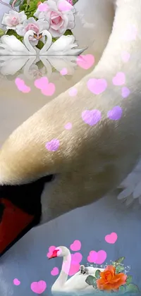 swan Live Wallpaper