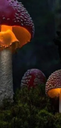 Glowing Mushrooms. Live Wallpaper