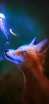 Window Jaw Carnivore Live Wallpaper