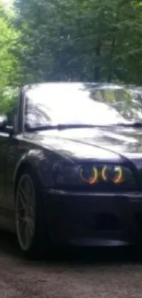 Drivin' Through the Trees  Live Wallpaper