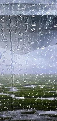fairy rain Live Wallpaper