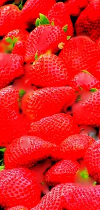 strawberry  Live Wallpaper