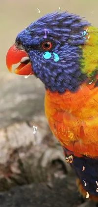7 Live Wallpaper