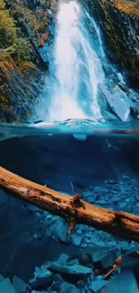 Water Water Resources Nature Live Wallpaper