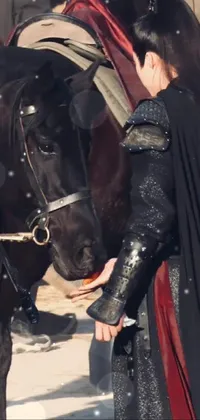 Horse Working Animal Horse Tack Live Wallpaper