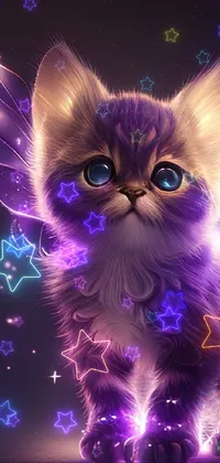 Cat Purple Light Live Wallpaper - free download