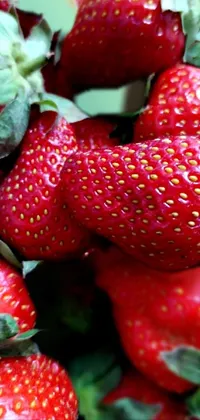 Food Plant Fruit Live Wallpaper