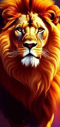 Felidae Carnivore Lion Live Wallpaper