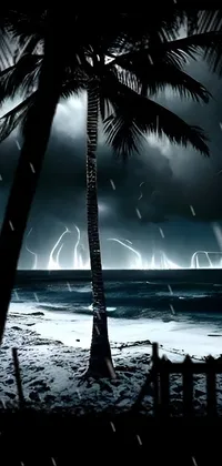 Stormy Night Live Wallpaper