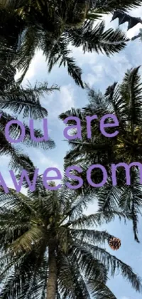 You Are Awesome Live Wallpaper