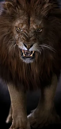 Felidae Carnivore Human Body Live Wallpaper