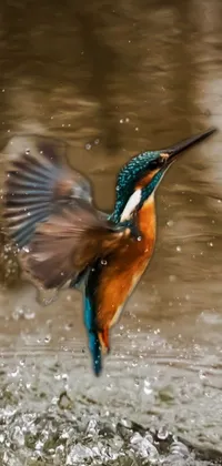 bird.in.water Live Wallpaper