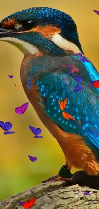 BiaModern  Live Wallpaper
