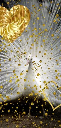 golden peacock  Live Wallpaper