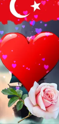 Flower Pink Red Live Wallpaper