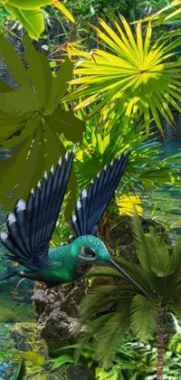 Colibri on palm island  Live Wallpaper