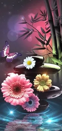 Flower Plant Petal Live Wallpaper - free download
