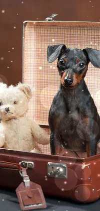 Bear teddy and cute dog Live Wallpaper