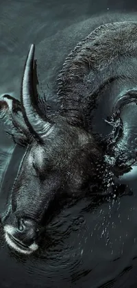 Black River  Live Wallpaper