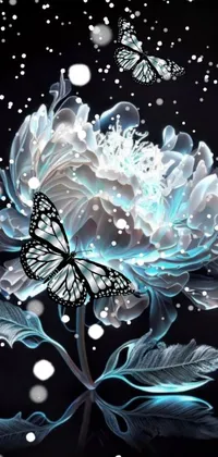 Plant Pollinator Water Live Wallpaper