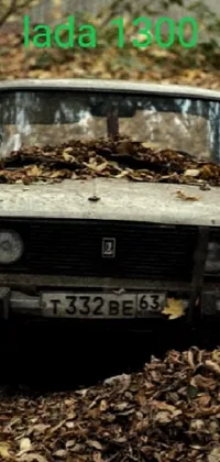 Vehicle Registration Plate Vehicle Grille Live Wallpaper