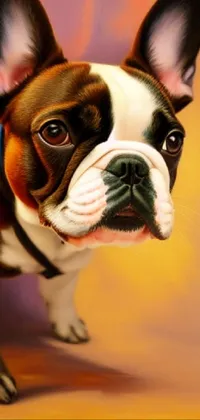 The pug Live Wallpaper