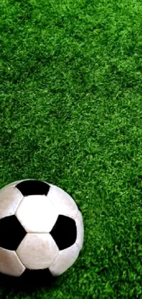 Sports Equipment Green Football Live Wallpaper