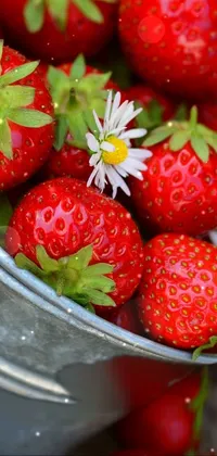 strawberry fruit  Live Wallpaper
