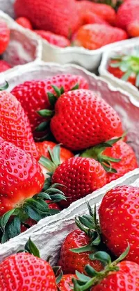 strawberrys Live Wallpaper