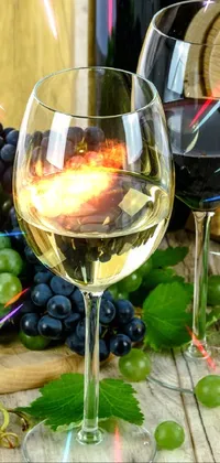 grapes wine  Live Wallpaper
