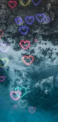 Water Organism Body Of Water Live Wallpaper