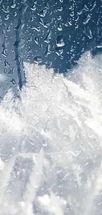 Winter (live wallpaper).. Live Wallpaper