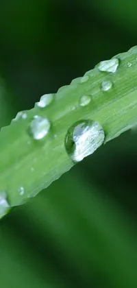 water  Live Wallpaper